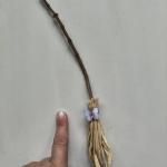 Vassoura Energética Artesanal | Limpeza Espiritual e Proteção | YULE (borboleta)